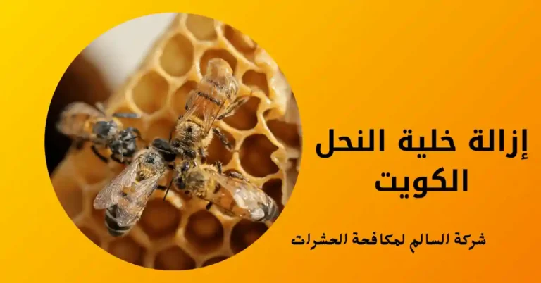 إزالة خلية النحل الكويت
