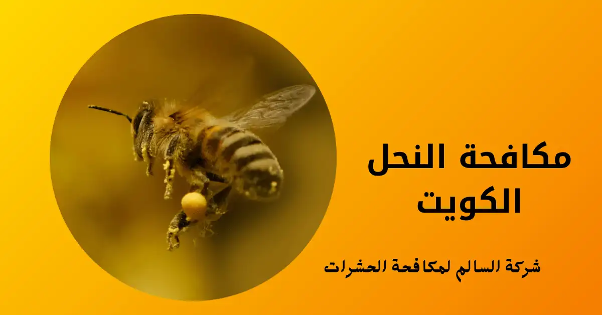 مكافحة النحل الكويت