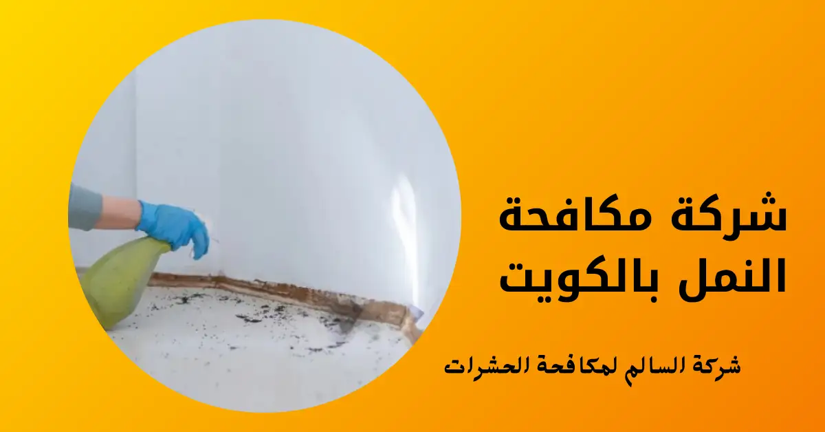 شركة مكافحة النمل بالكويت