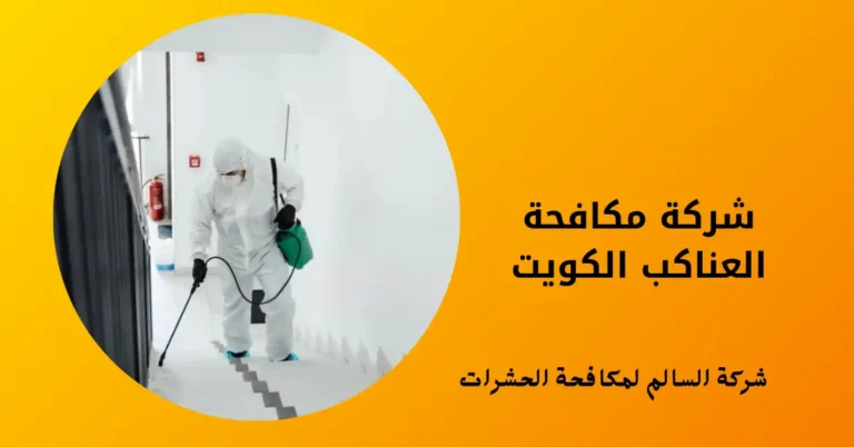 شركة مكافحة العناكب الكويت
