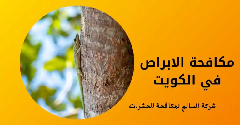 مكافحة الابراص في الكويت