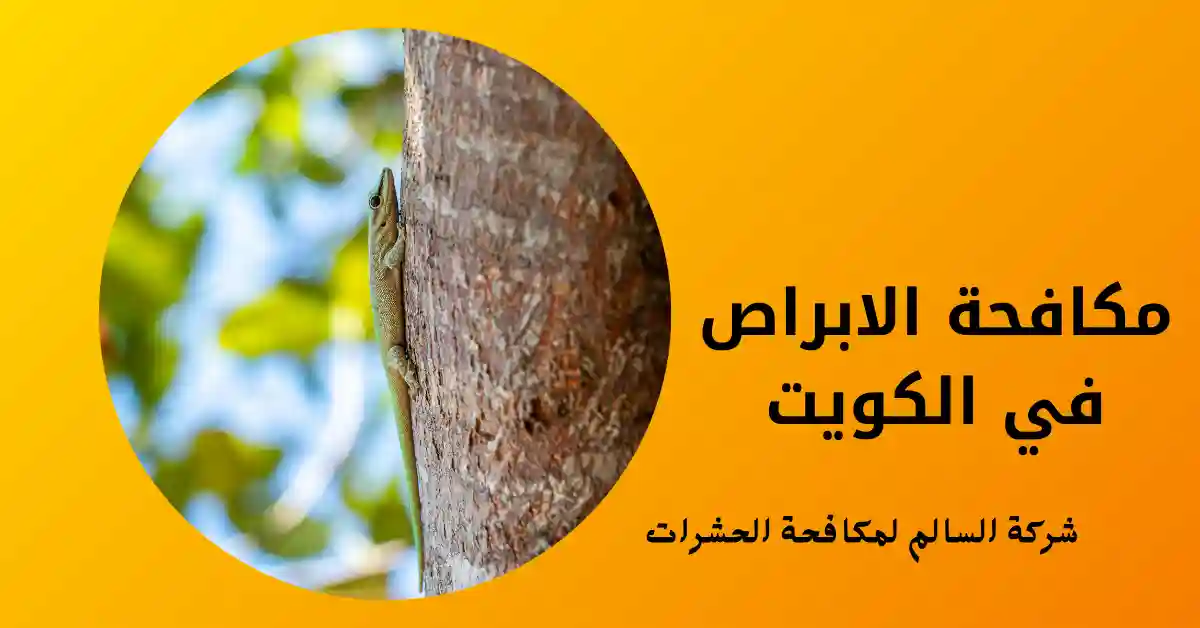 مكافحة الابراص في الكويت