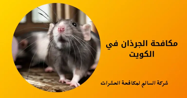 مكافحة الجرذان في الكويت