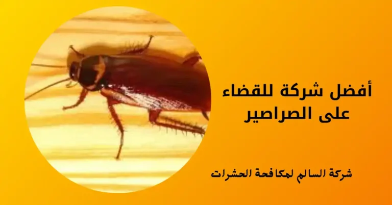 أفضل شركة للقضاء على الصراصير