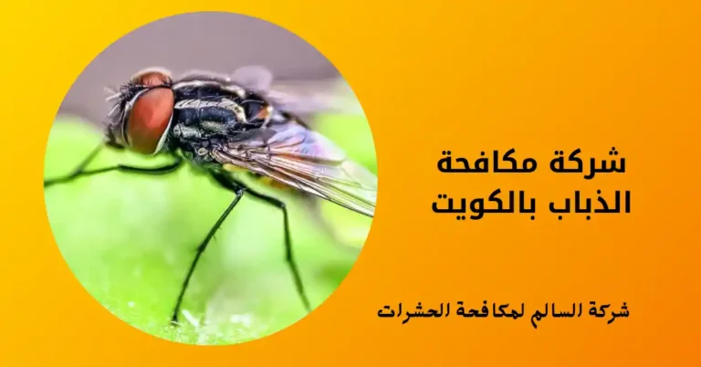 شركة مكافحة الذباب بالكويت