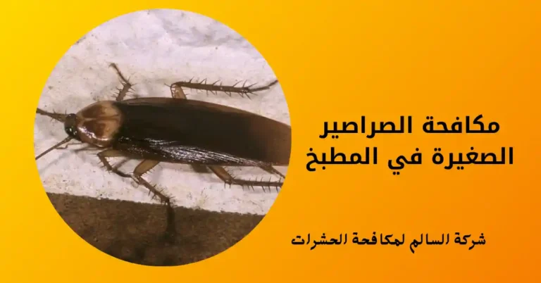 مكافحة الصراصير الصغيرة في المطبخ