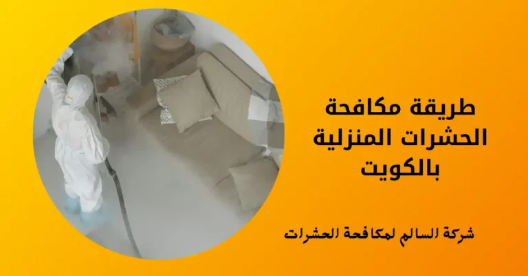 طريقة مكافحة الحشرات المنزلية بالكويت